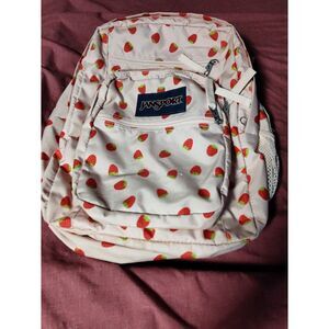 Jansport Strawberry & Pink Backpack/Laptop Bag